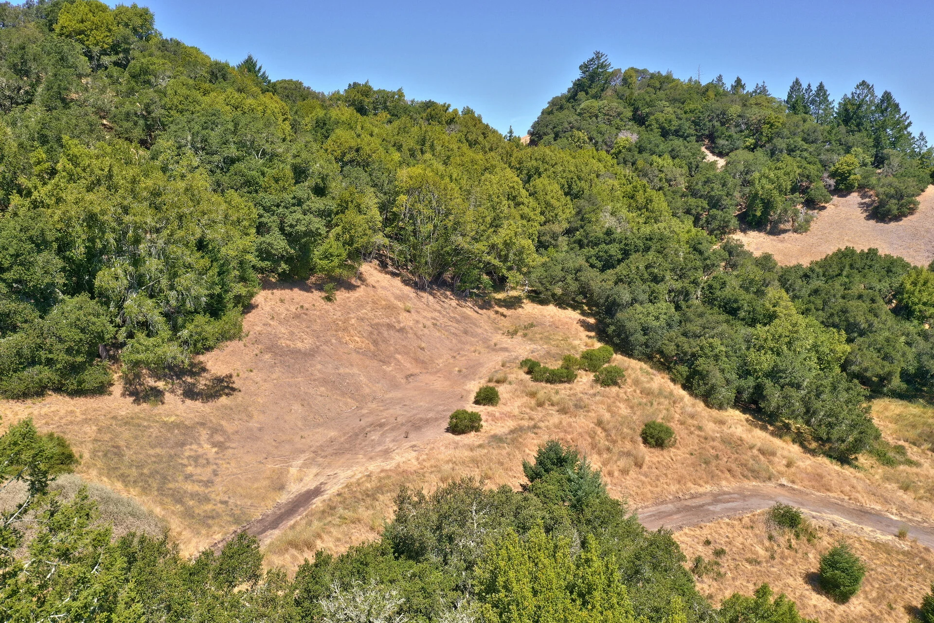 DJI_0429.jpg