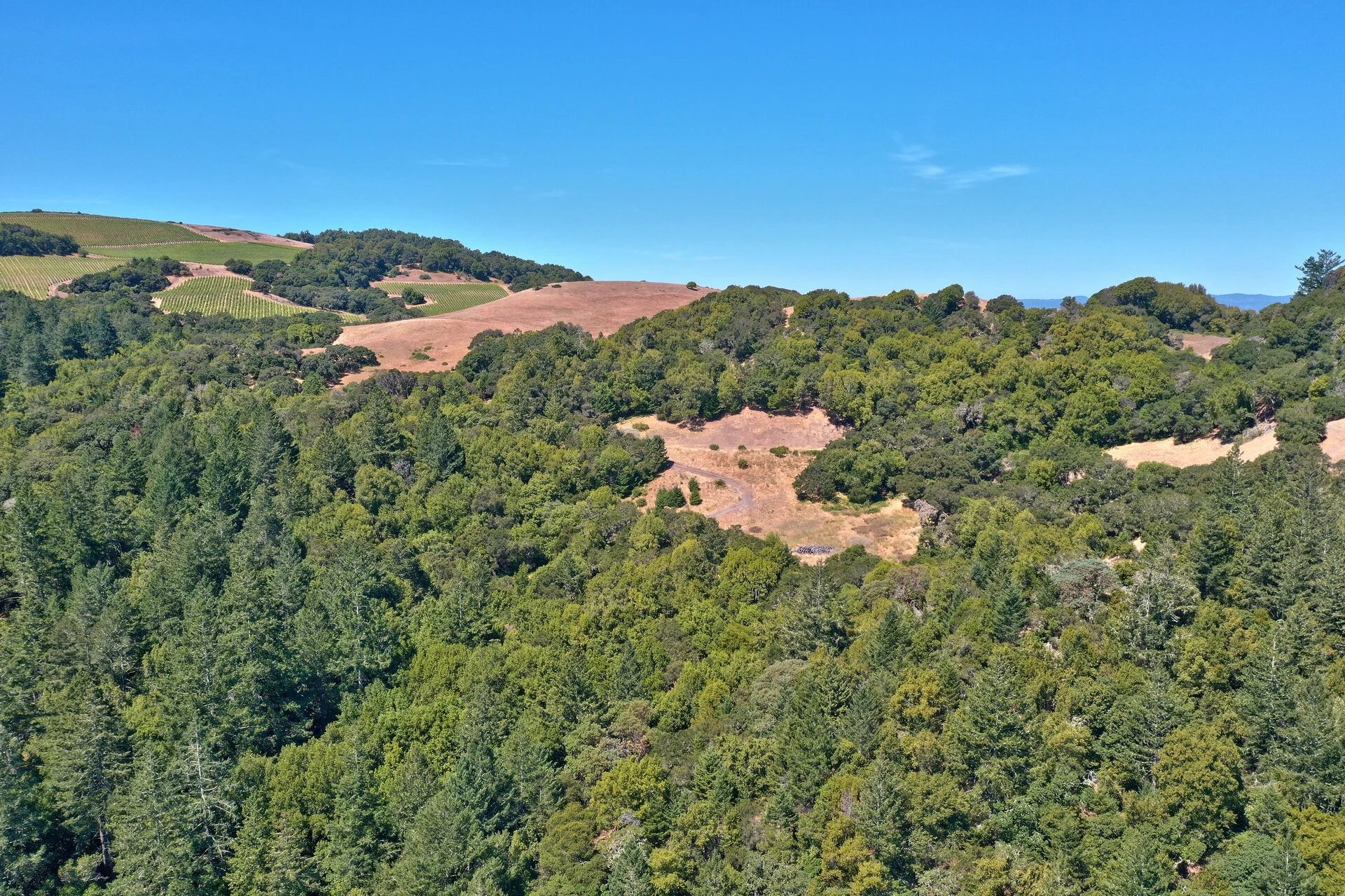 DJI_0421.jpg