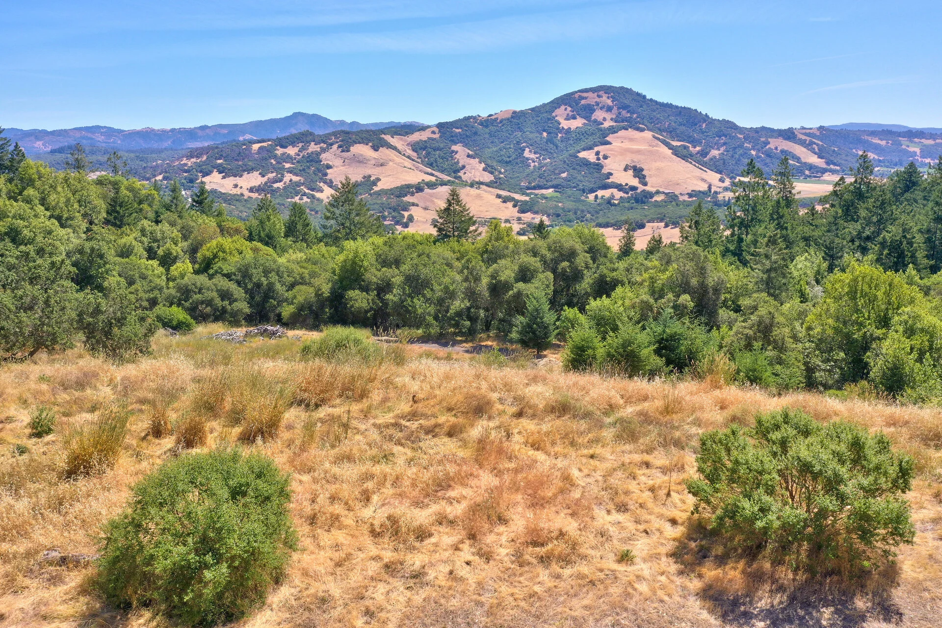 DJI_0399.jpg