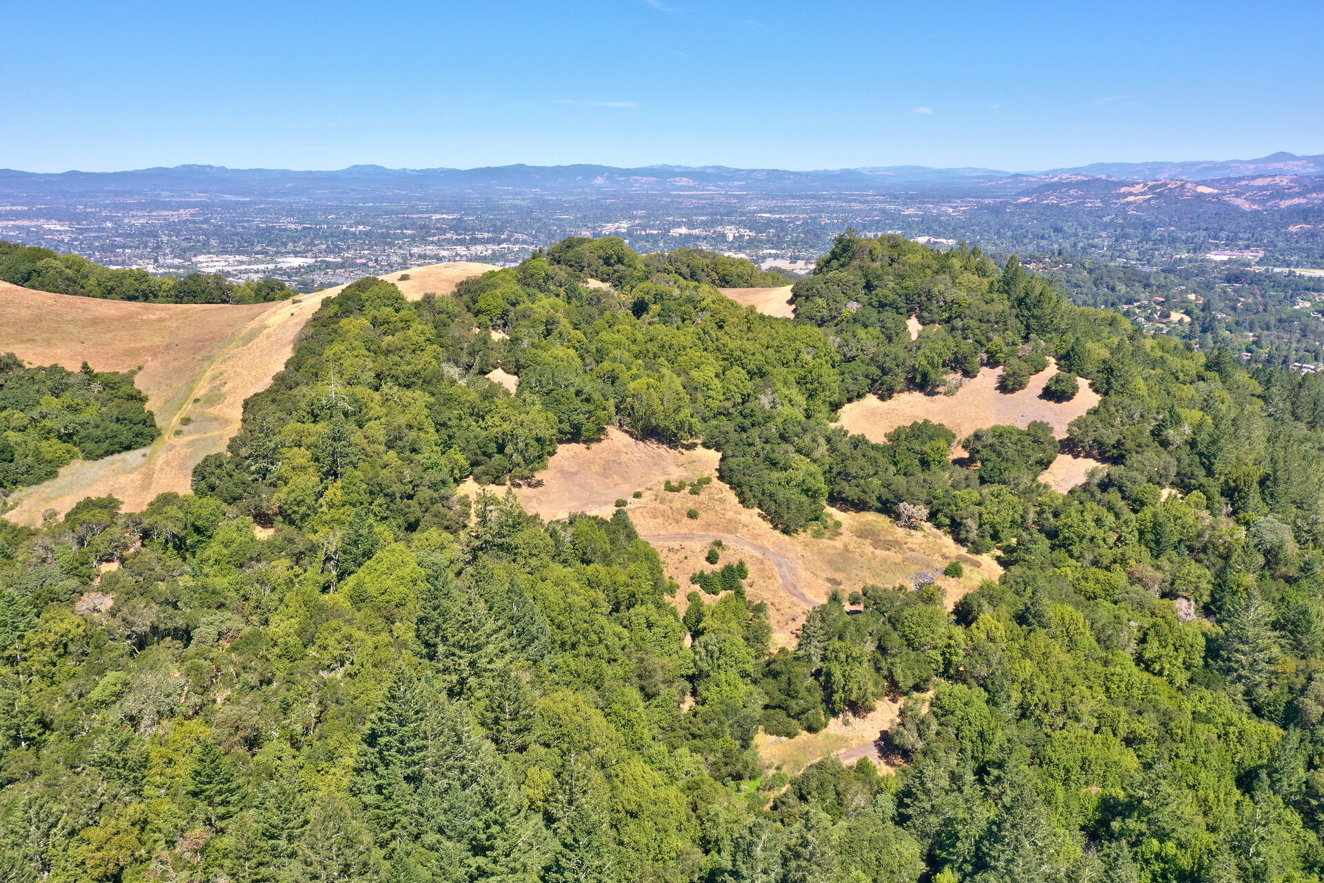 DJI_0391.jpg