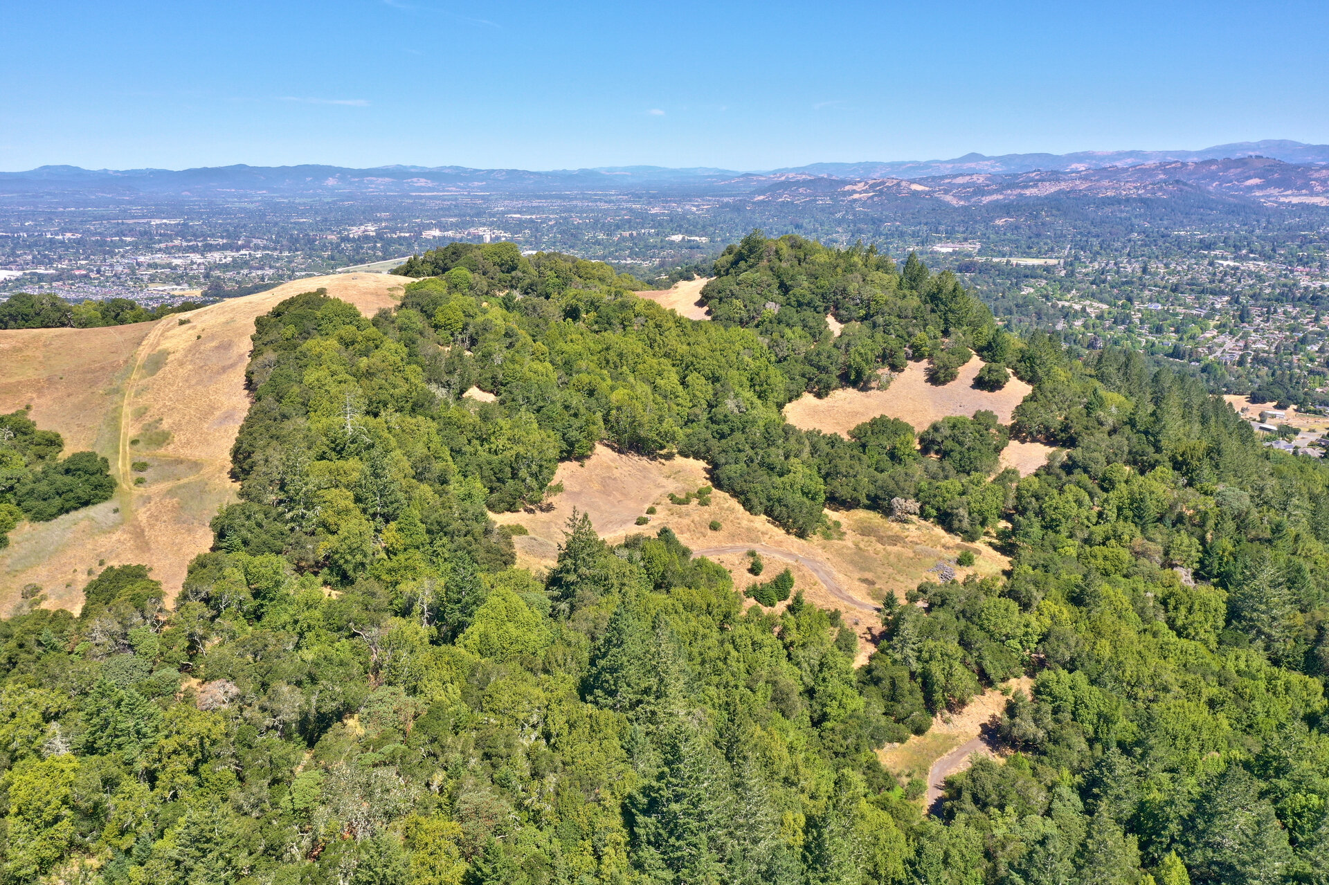 DJI_0386.jpg