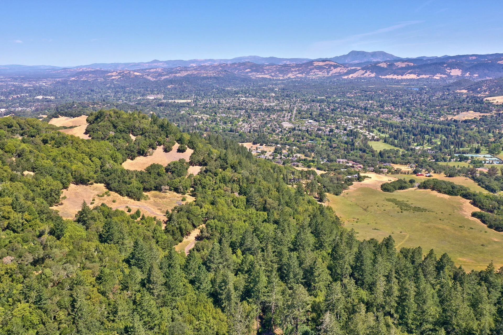 DJI_0381.jpg