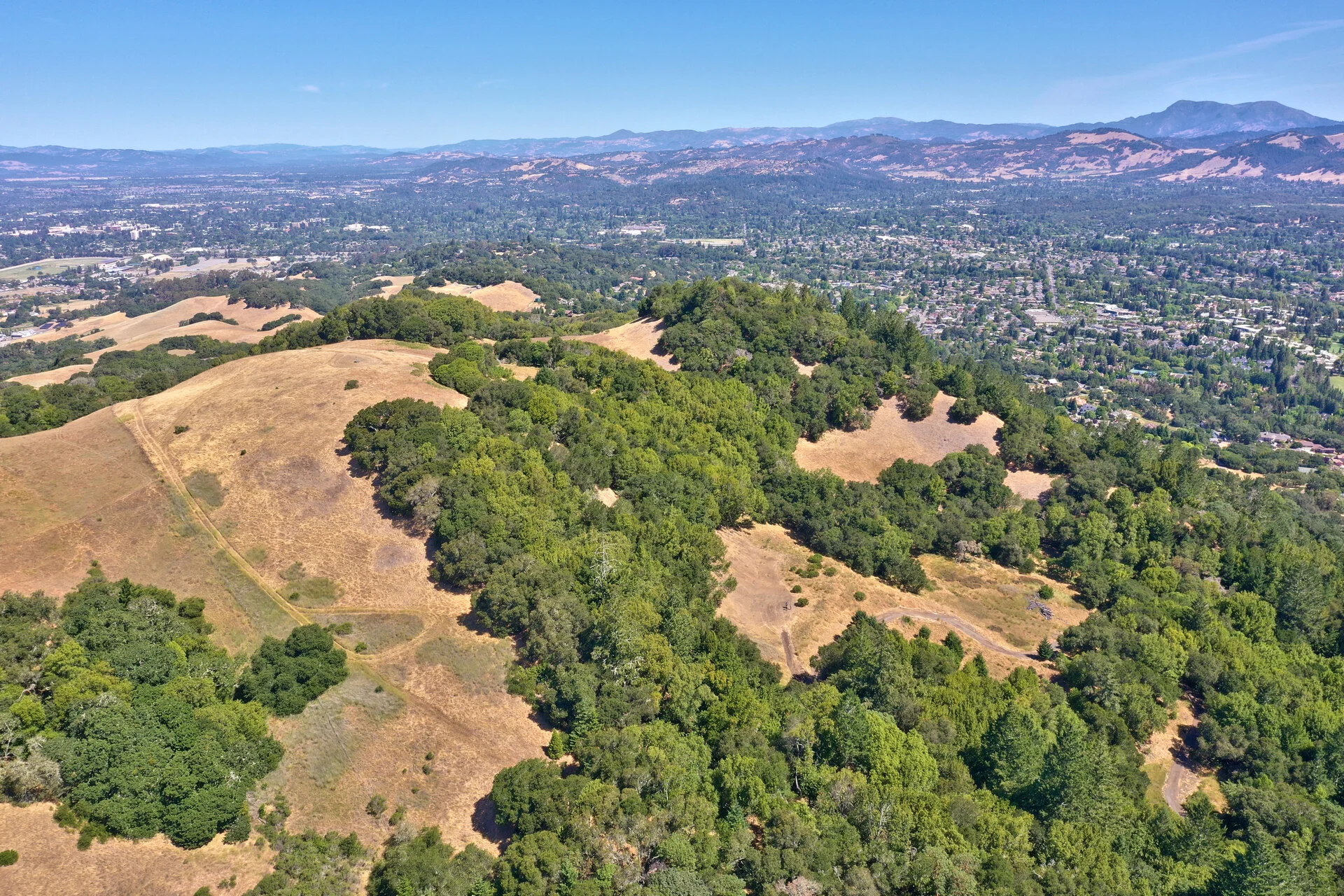 DJI_0370.jpg