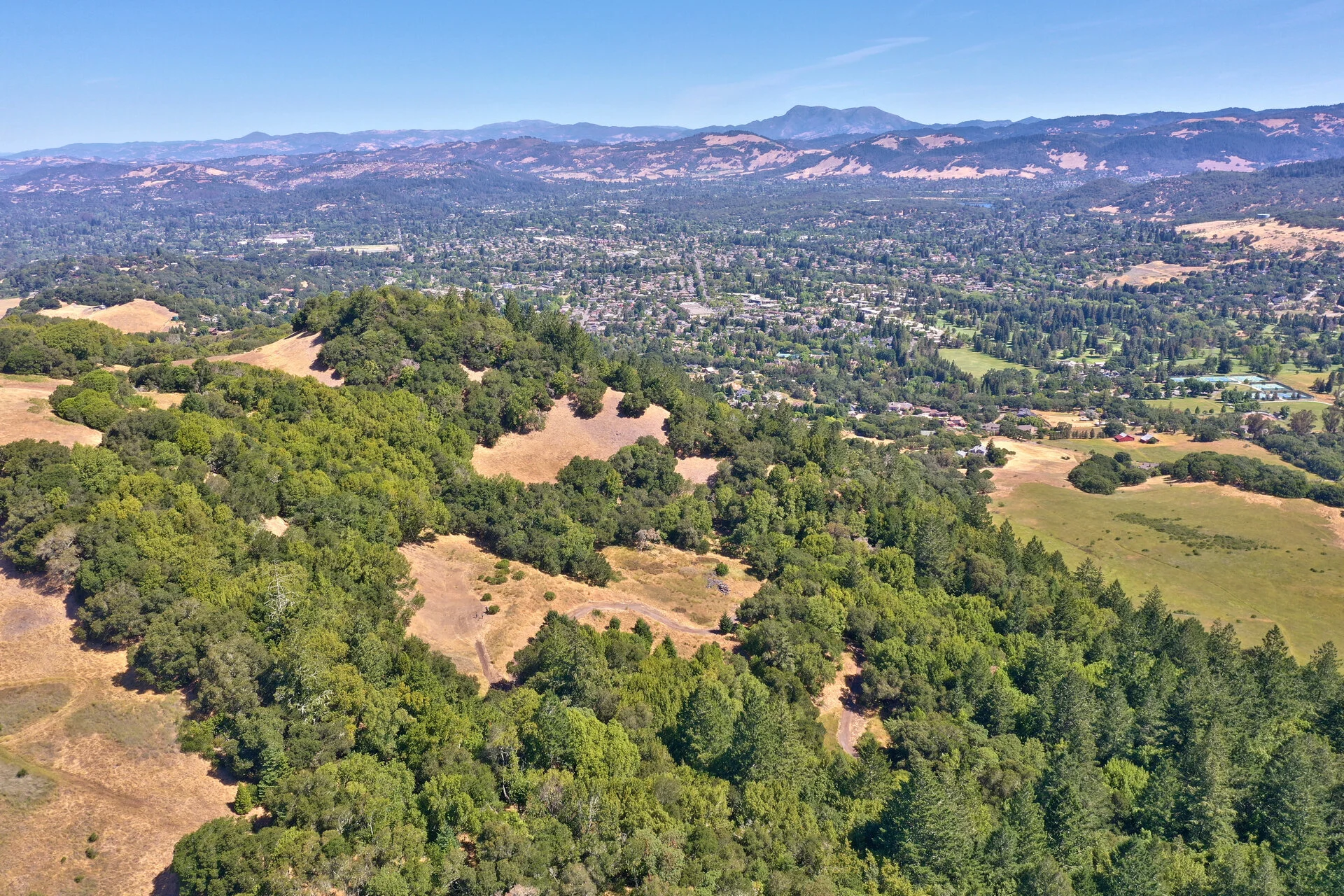 DJI_0365.jpg