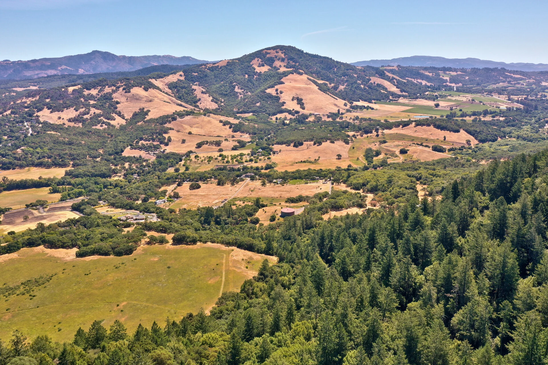 DJI_0360.jpg