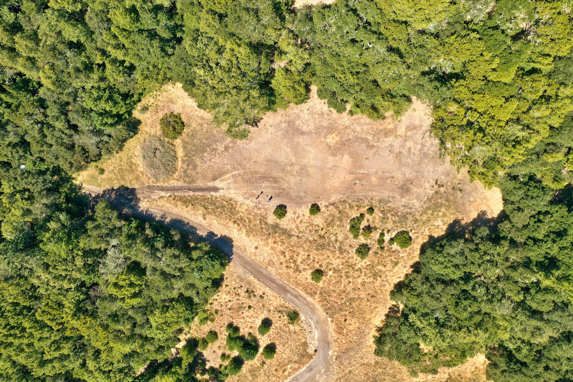 DJI_0337.jpg