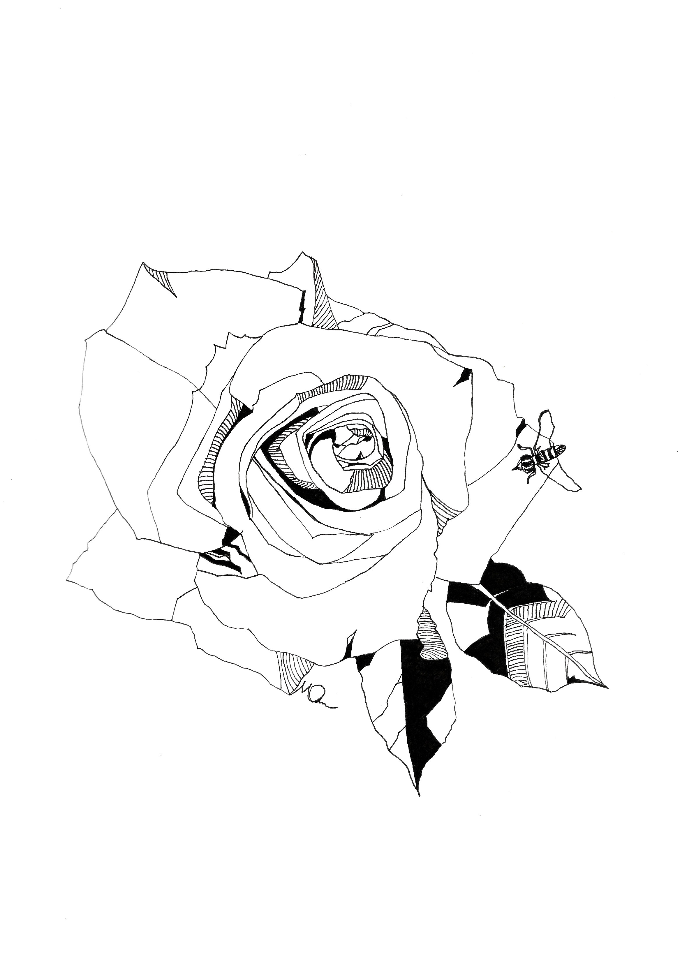 Max'sflower.jpeg