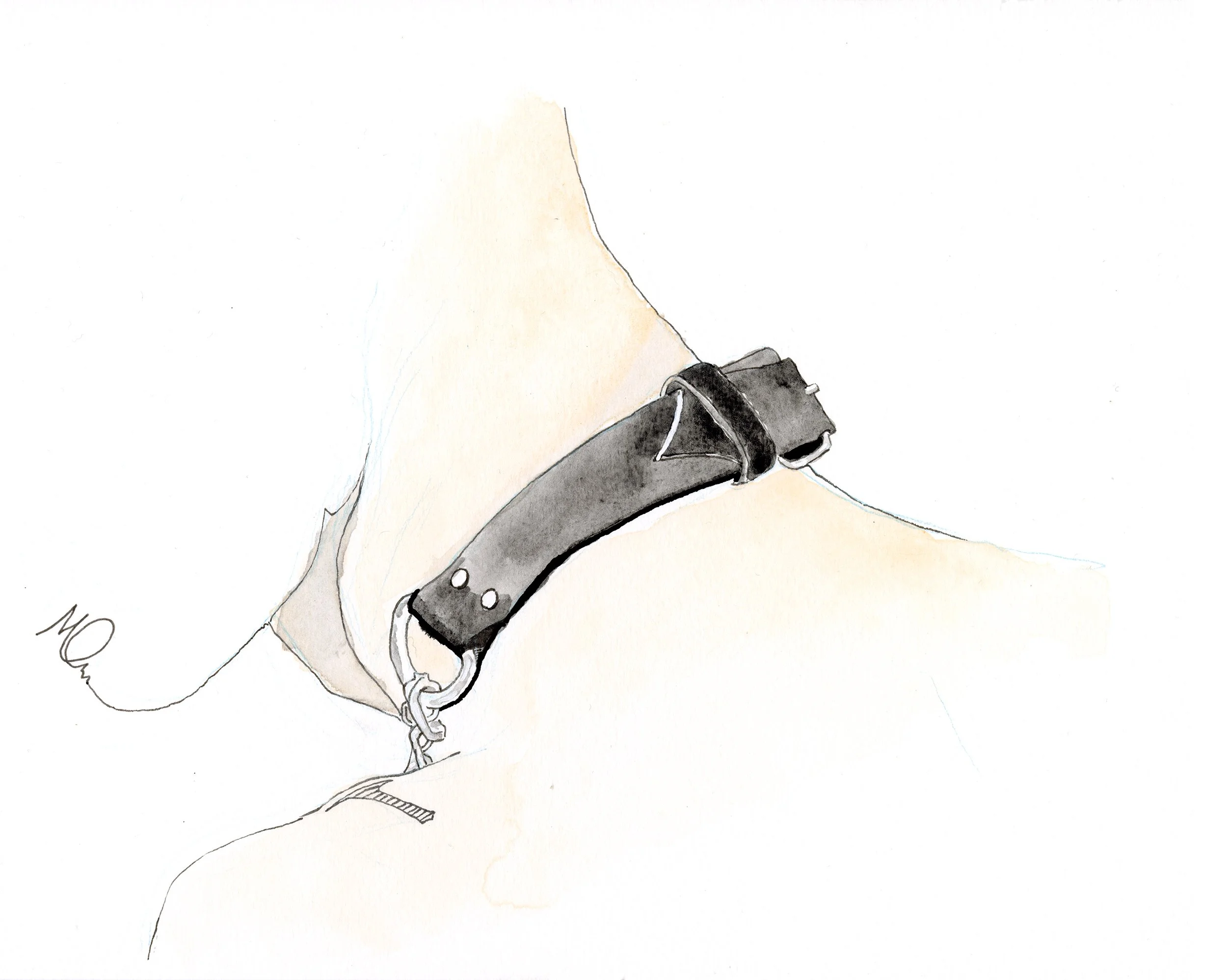 COLLAR