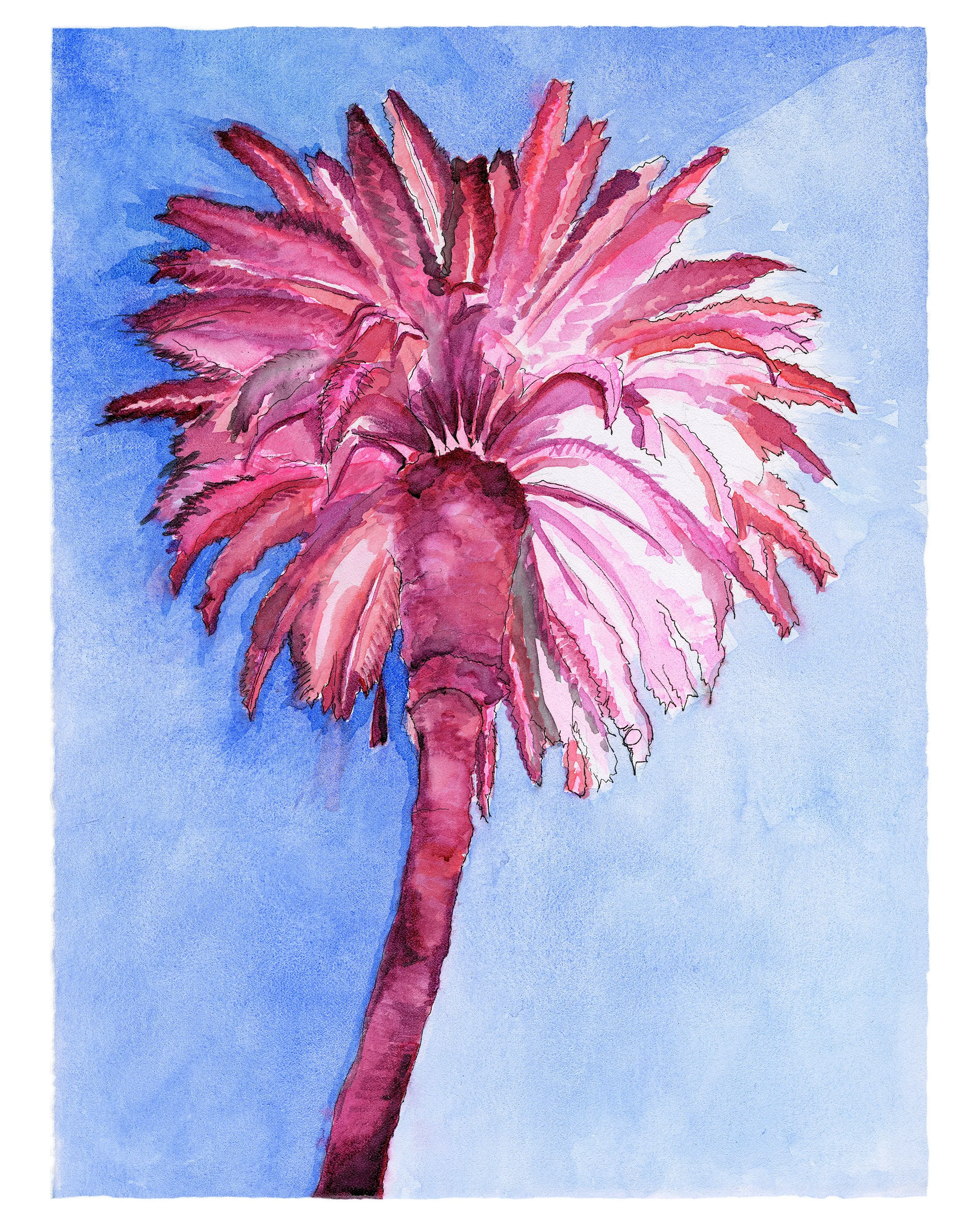 NIGHT PALM 8BY10.jpg