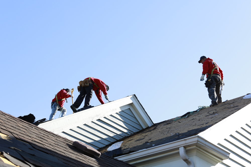 Roofing Contractor