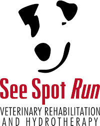  https://www.seespotrunrehab.com 