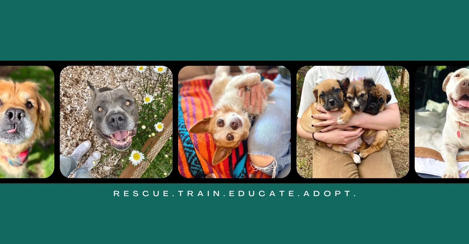 4TH ANNUAL MARKET FOR MUTTS