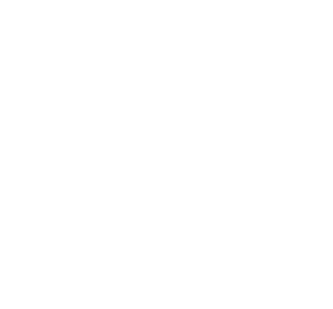 Fort Orange Brewing