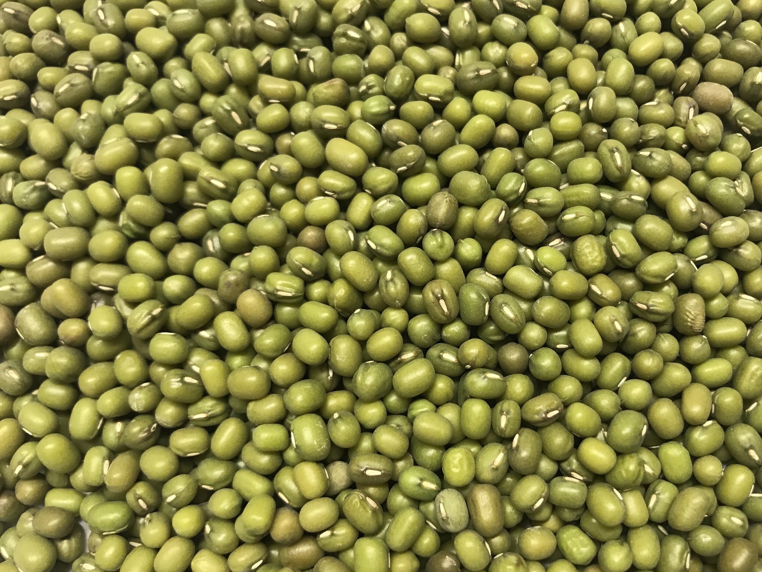 DEE3386B-155E-4BFD-B628-F9B0D4BB6864