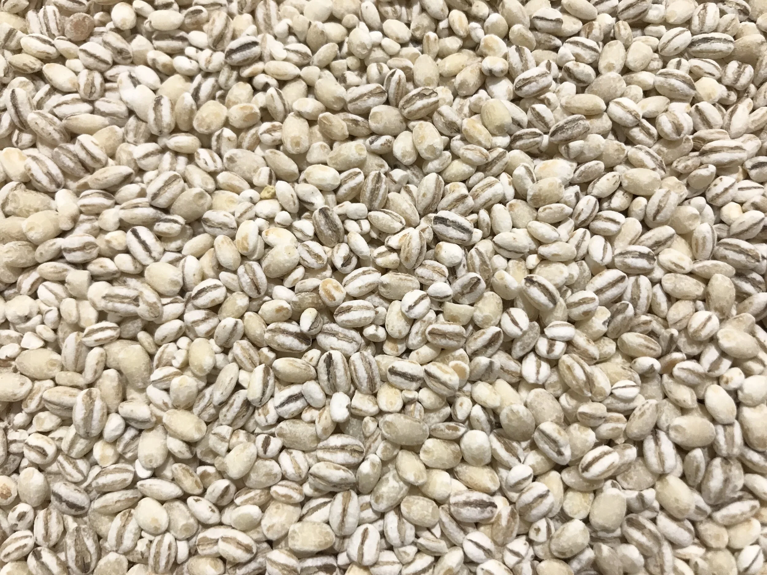 DB662150-7ED7-49E0-AE7F-3AD78E44E40E