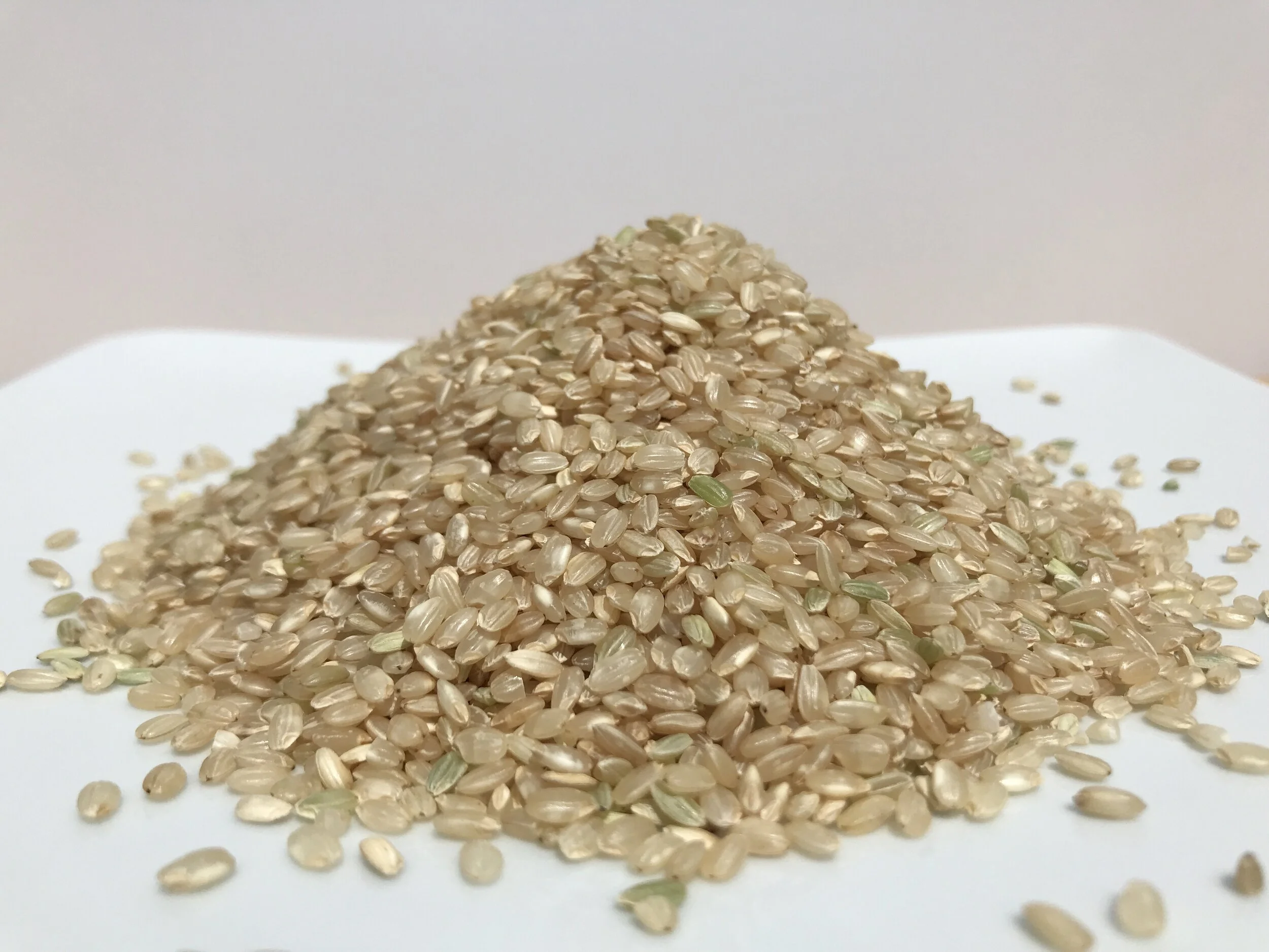 C85E9721-97E6-4A91-BC2C-2AEBDAB87216