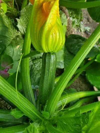 CC4E52C2-3381-499B-87FA-B3F866550B5F