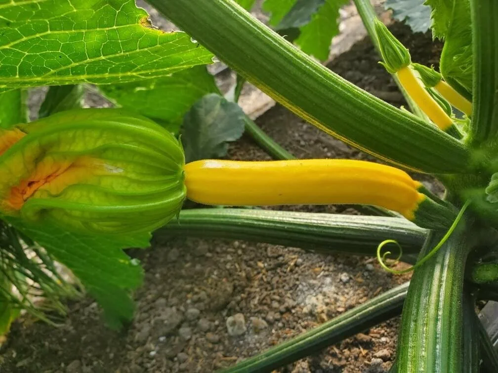 A39BF921-7F7D-4C4F-925F-5CC0F21F3E39