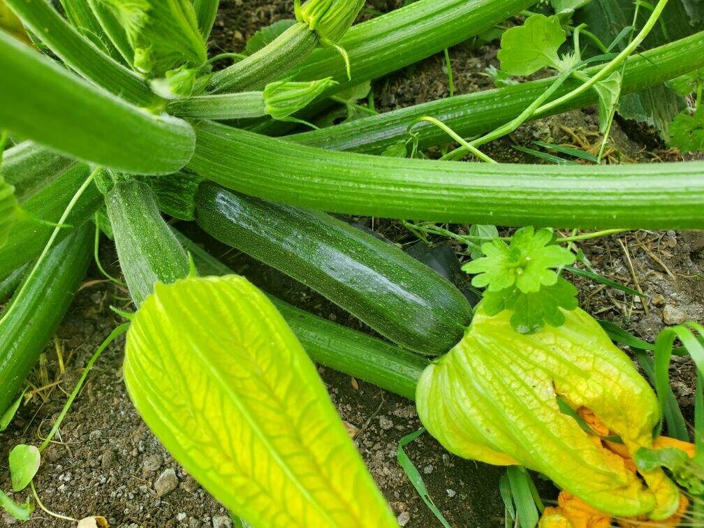 691C7886-59BA-4A5B-A587-5A56FC1CF373