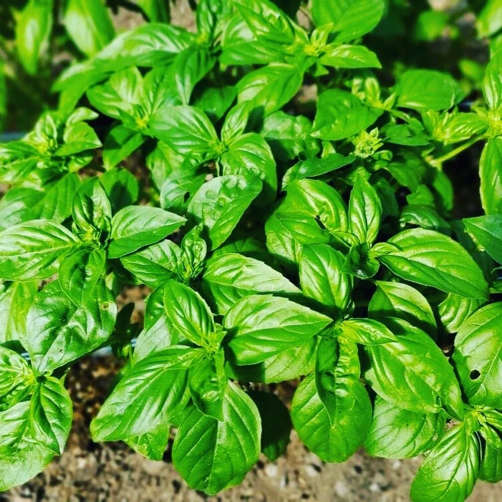 6361C6F7-BF7E-4B3C-970A-283474A51E04