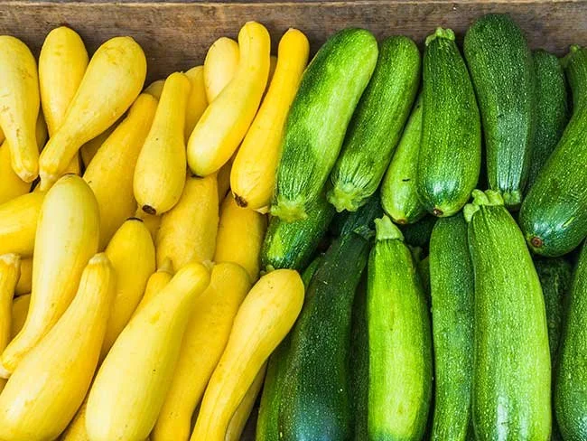 ZucchiniYG.jpg
