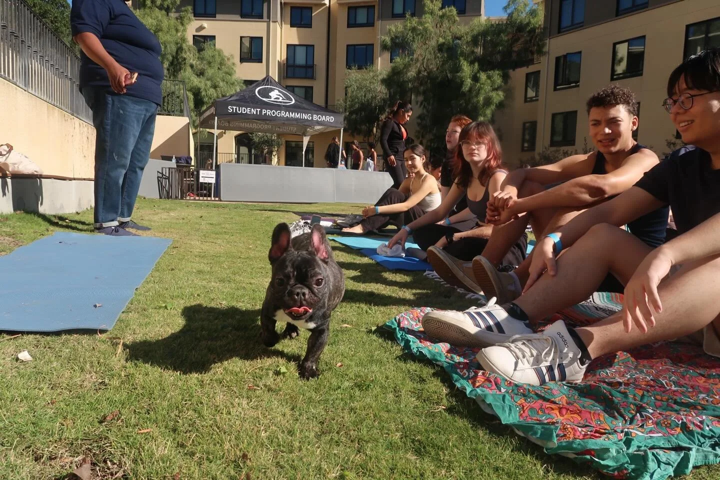 We stretched, laughed, and flowed through downward dog alongside the cutest puppies at our last event of the semester, Puppy Yoga. Thank you so much to everyone who joined us, we loved ending the semester with you all and can&rsquo;t wait to see you 