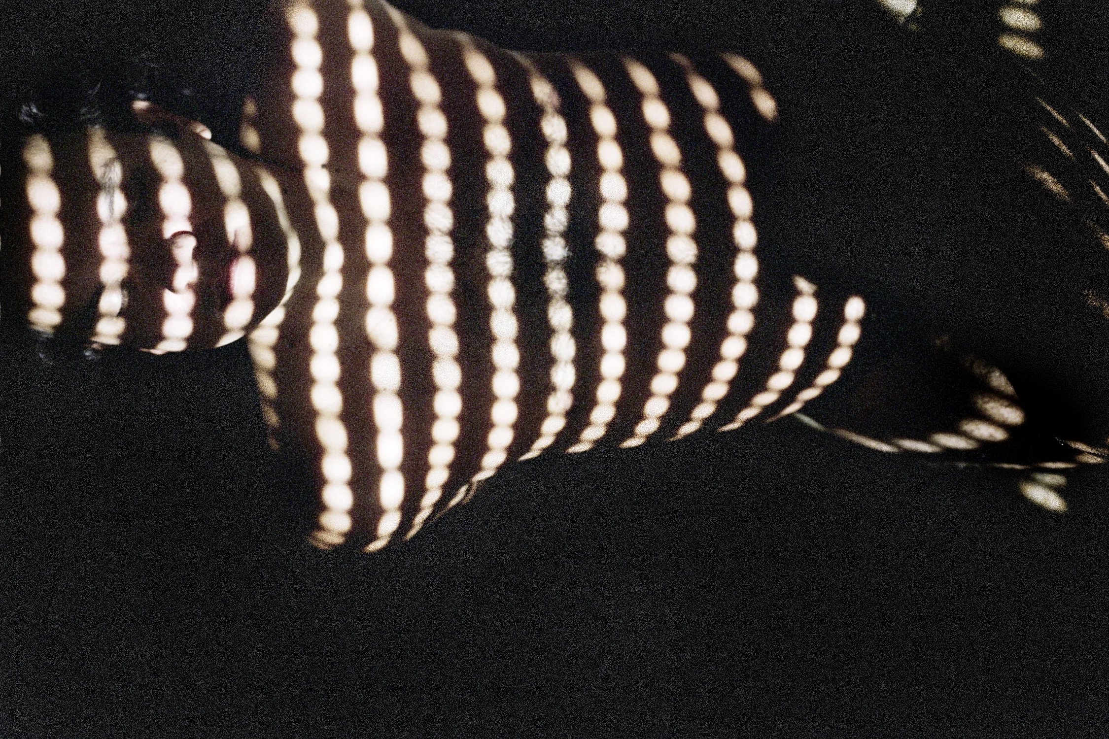 sombras Januki.jpg
