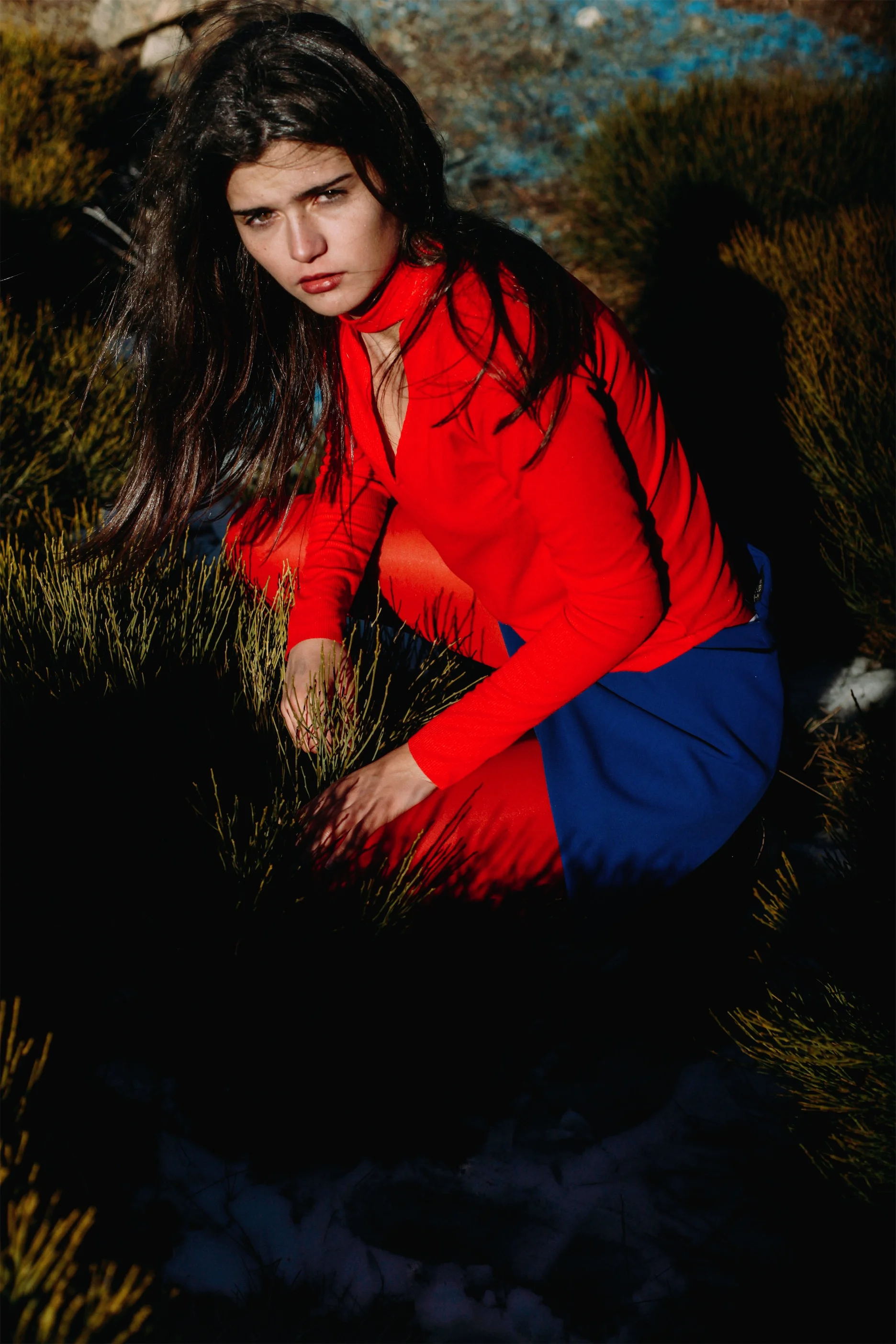 Scaled Image 35.jpg