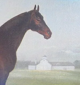 horse4_2.jpg
