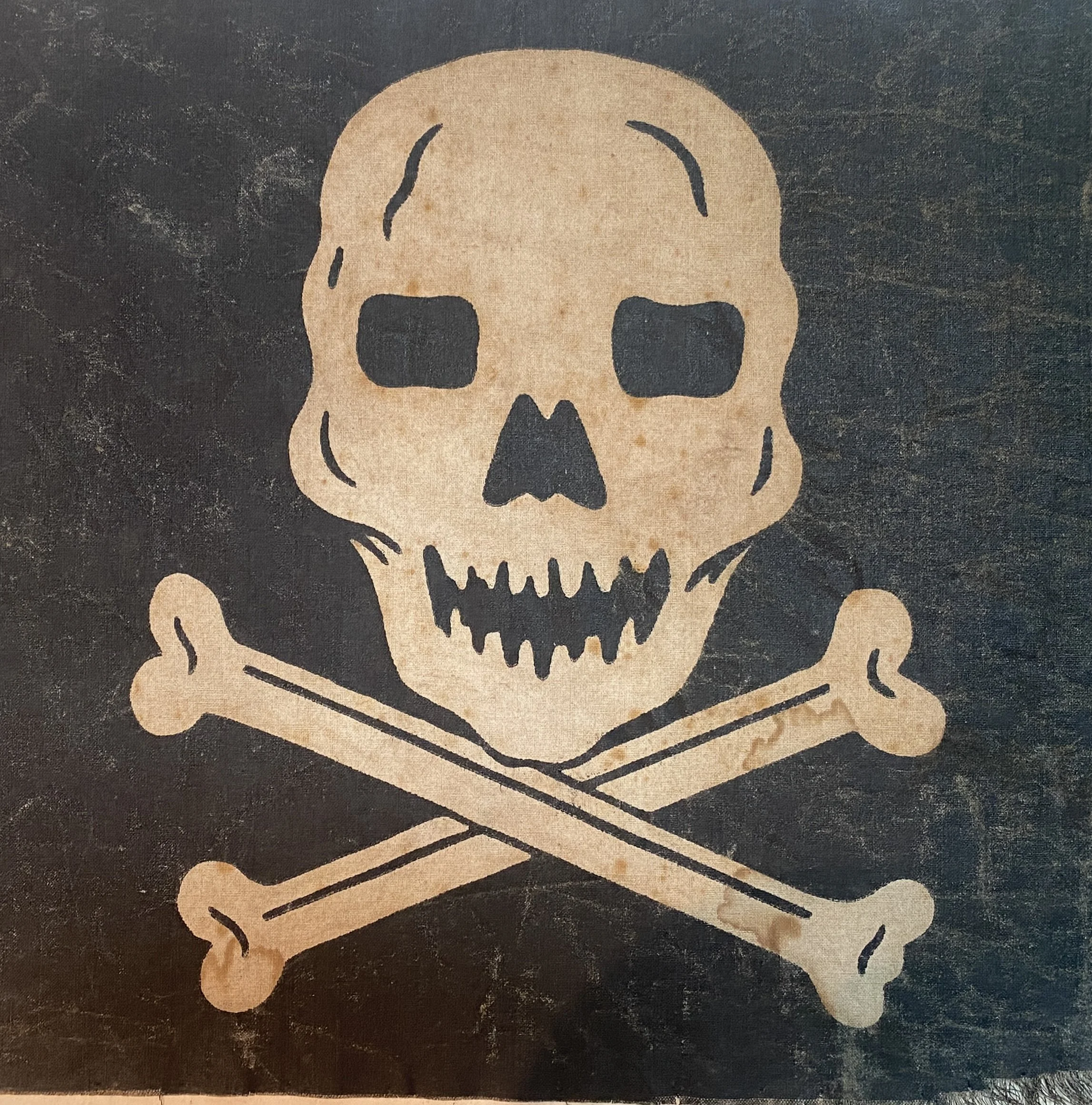 Skull and Crossbones Vintage Flag