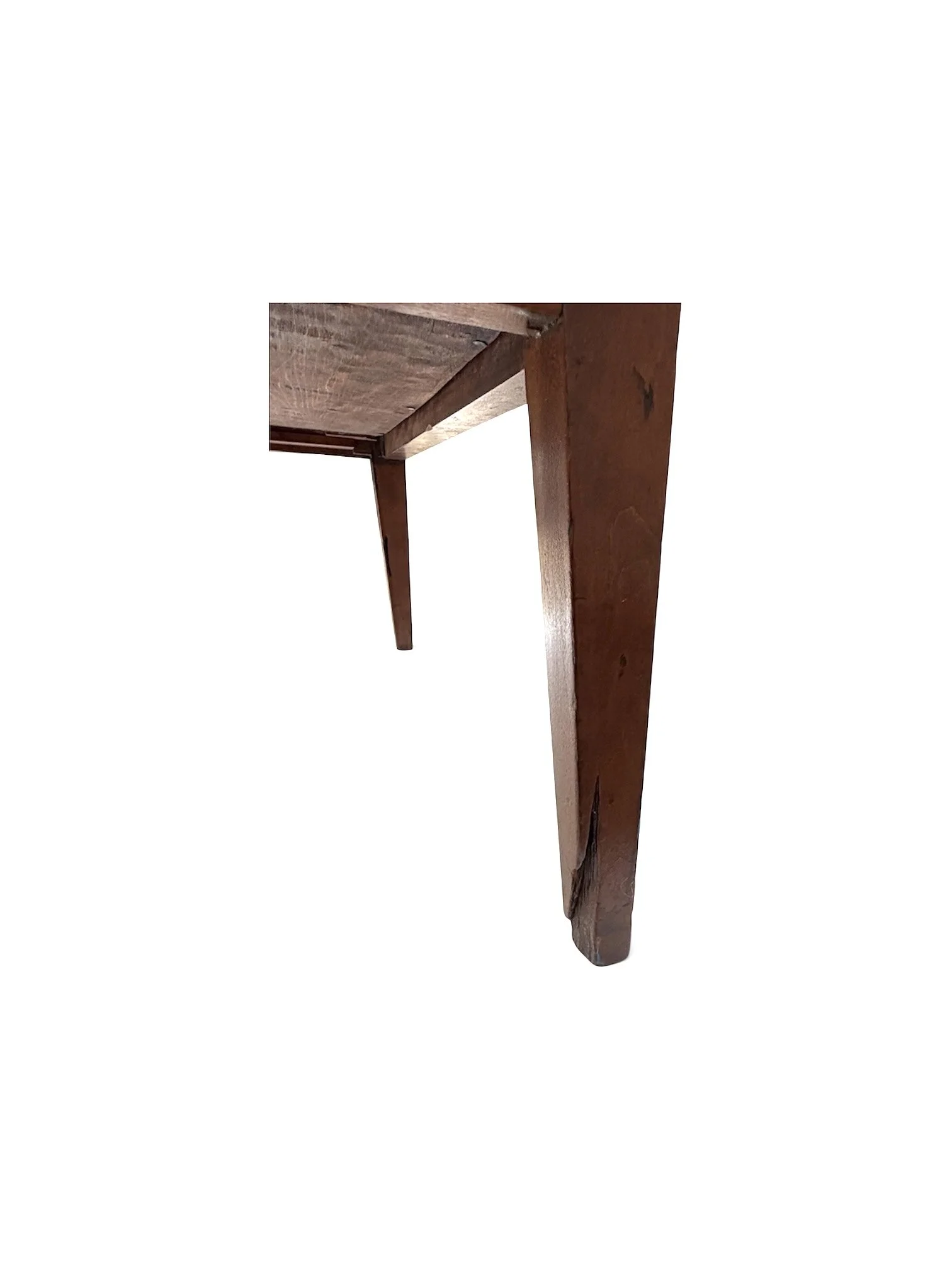 Kentucky Sugar Chest right side back leg