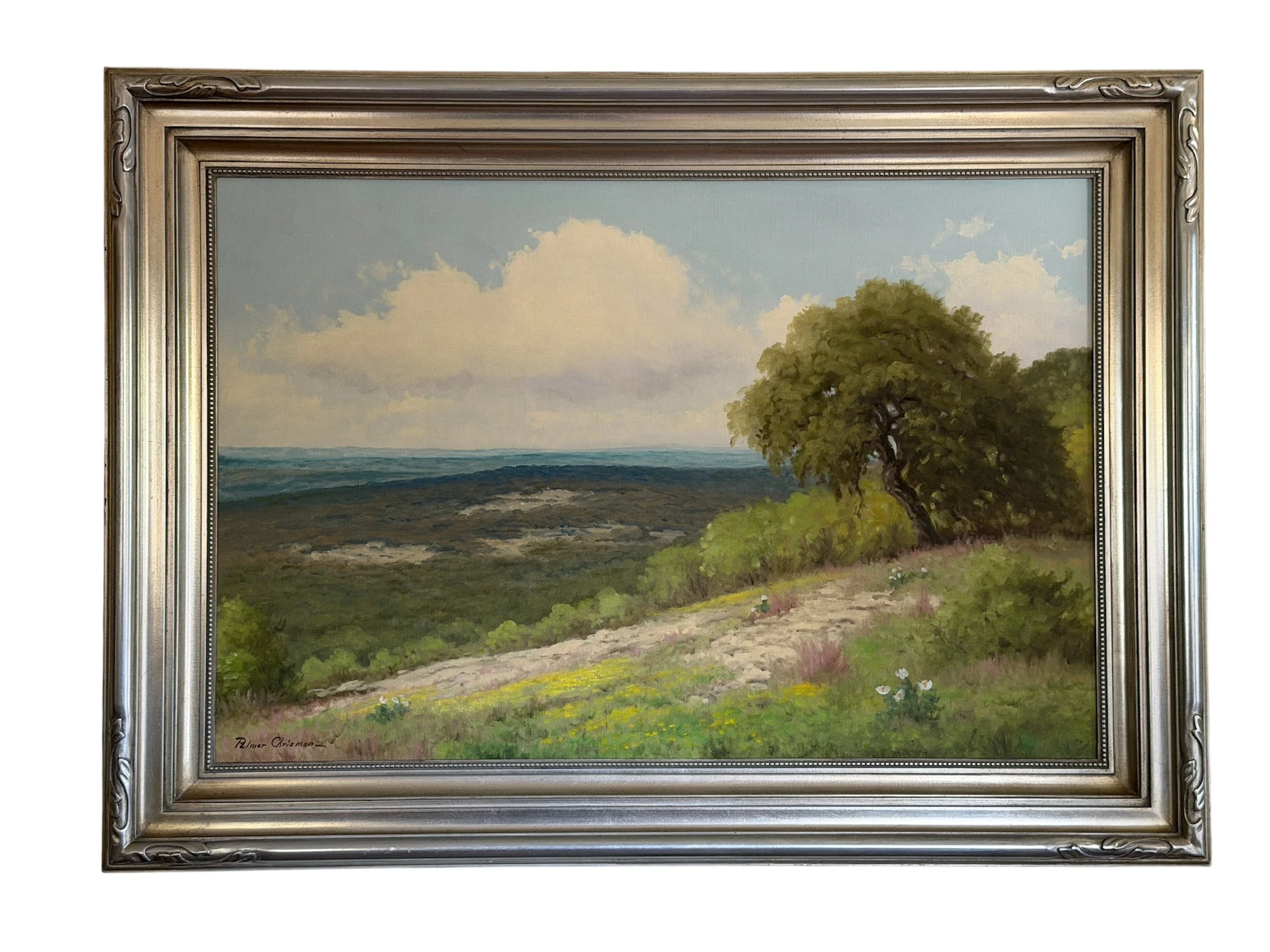 Palmer Chrisman , Texas landscape