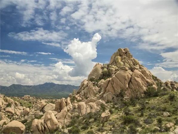Dragoon Mountains, Arizona. 