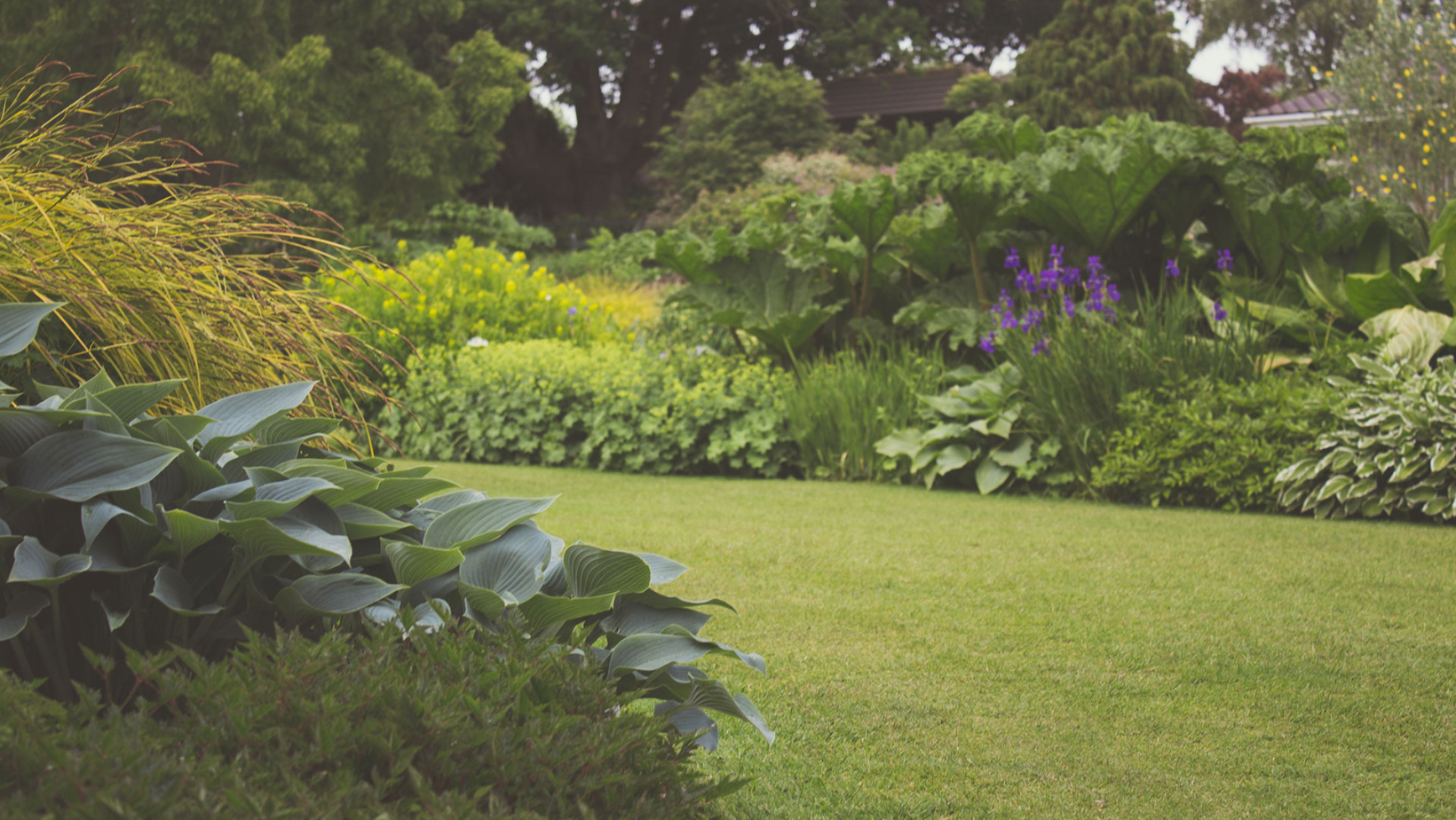 Embracing Environmental Sustainability: The Eco Lawn Care Way