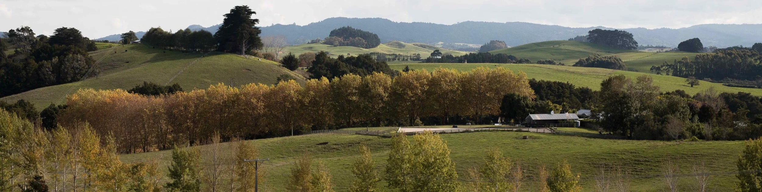 Red Dell Features in Junction Magazine