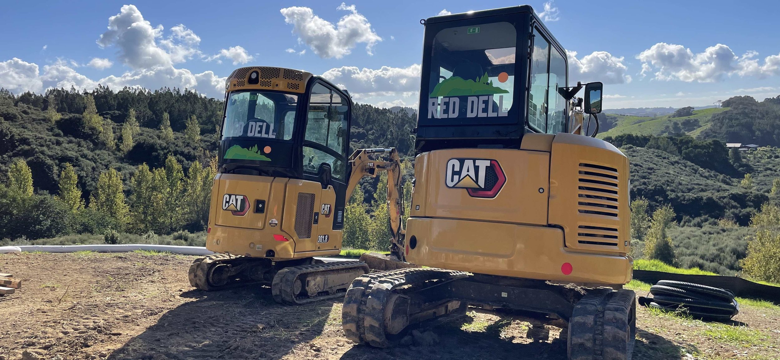 Red Dell Cat Diggers.jpg