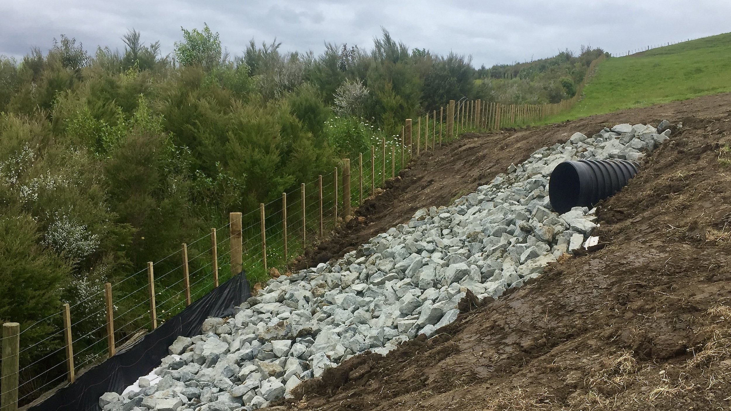 Red Dell Stormwater Retention.jpg