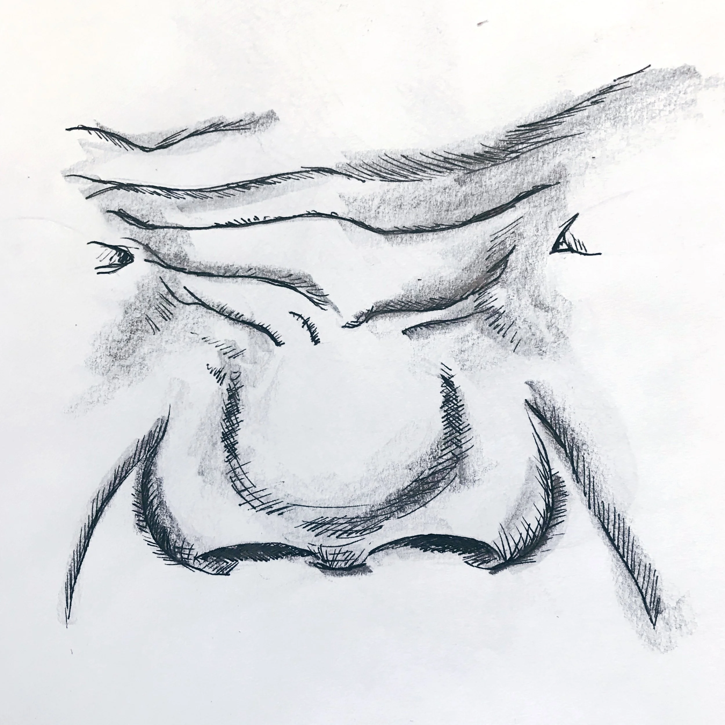 ACS_0147.jpg