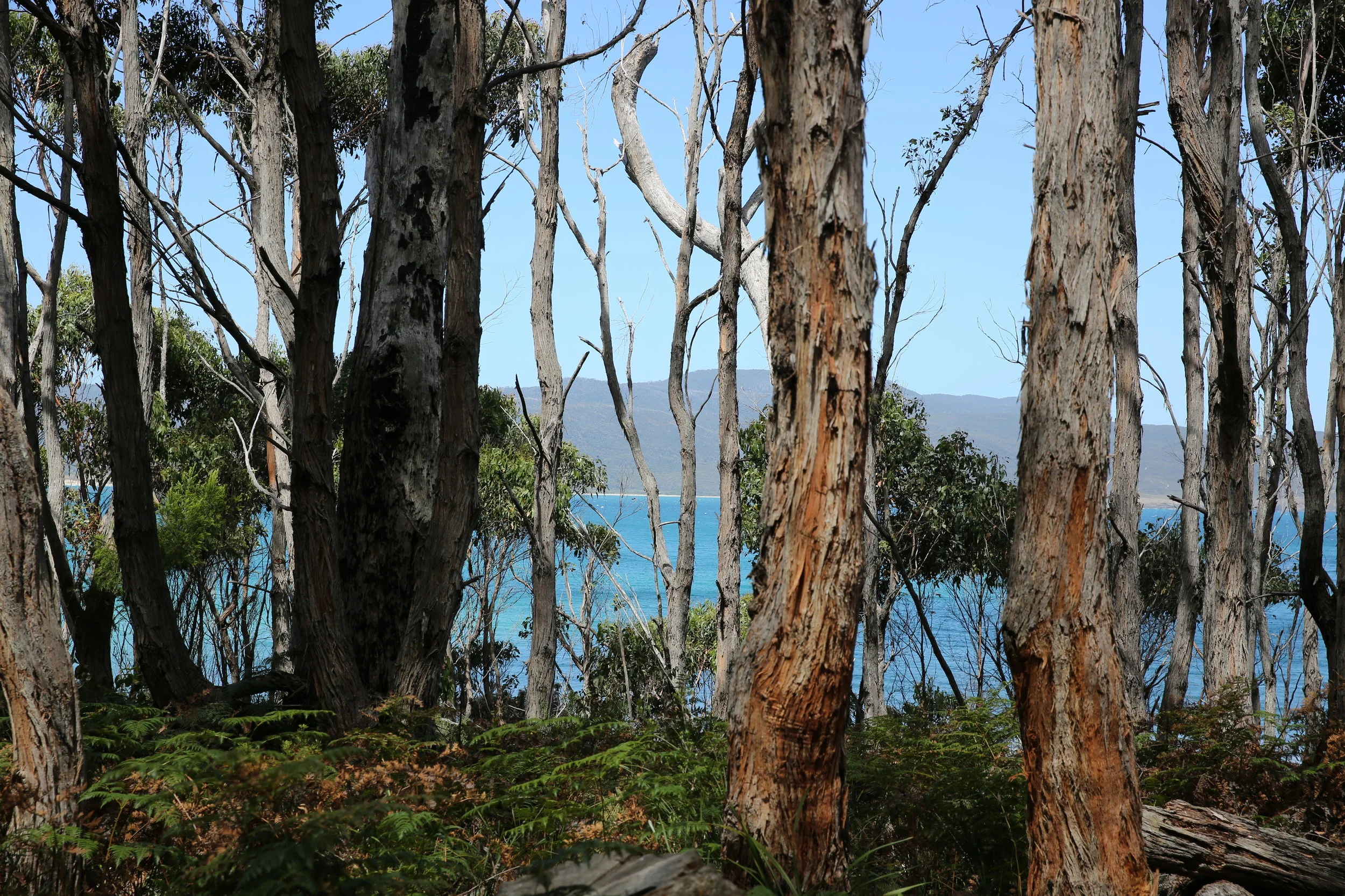 Bruny Island, Tasmania