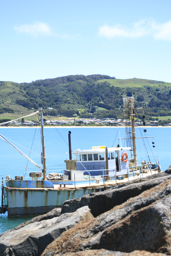 Apollo Bay-.jpg