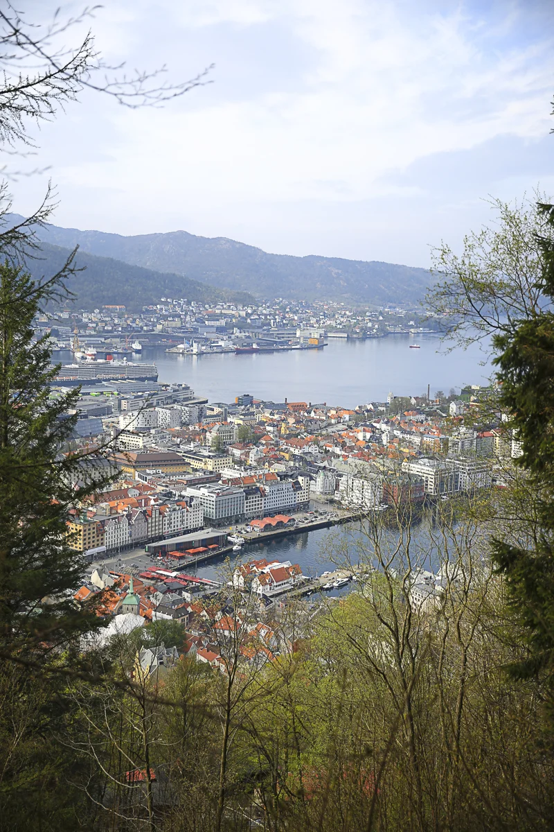 Bergen View Up-0485.jpg