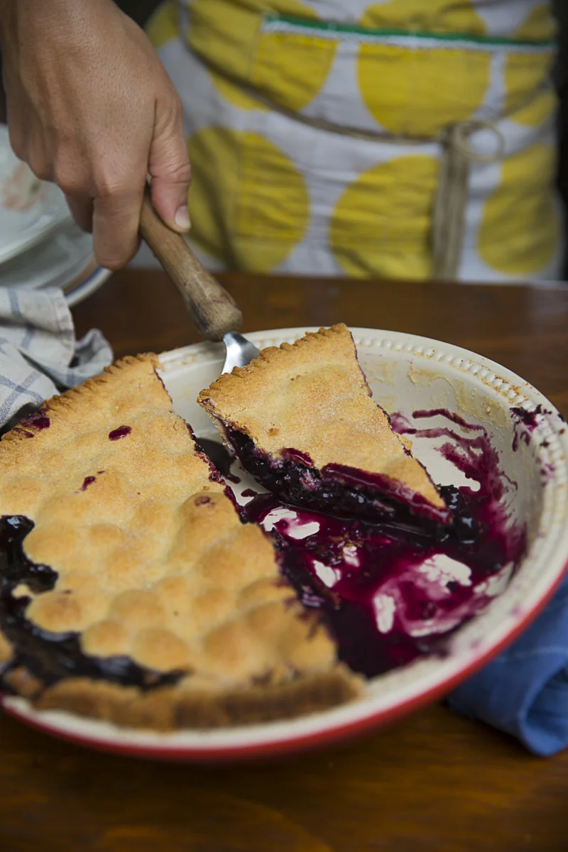 NR Blueberry Pie Edit-4854.jpg