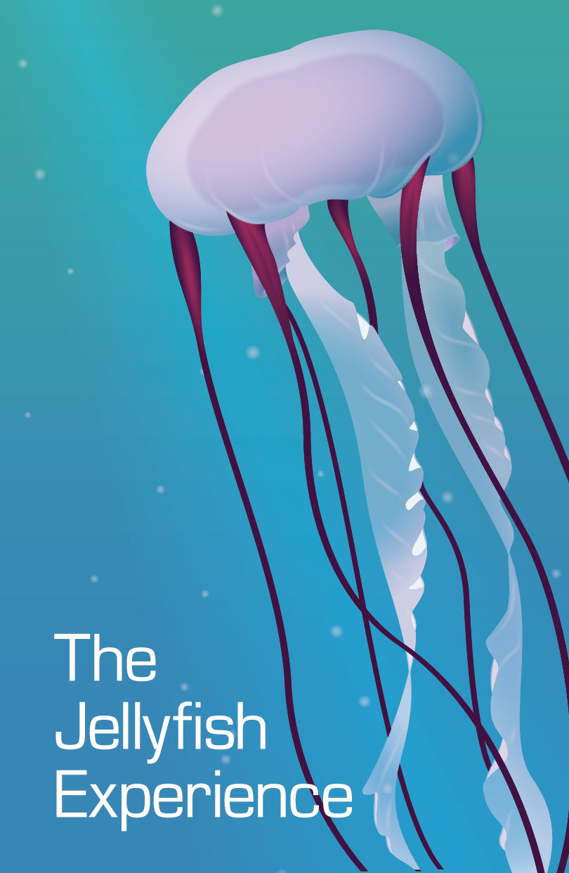 Jellyfish Illustration