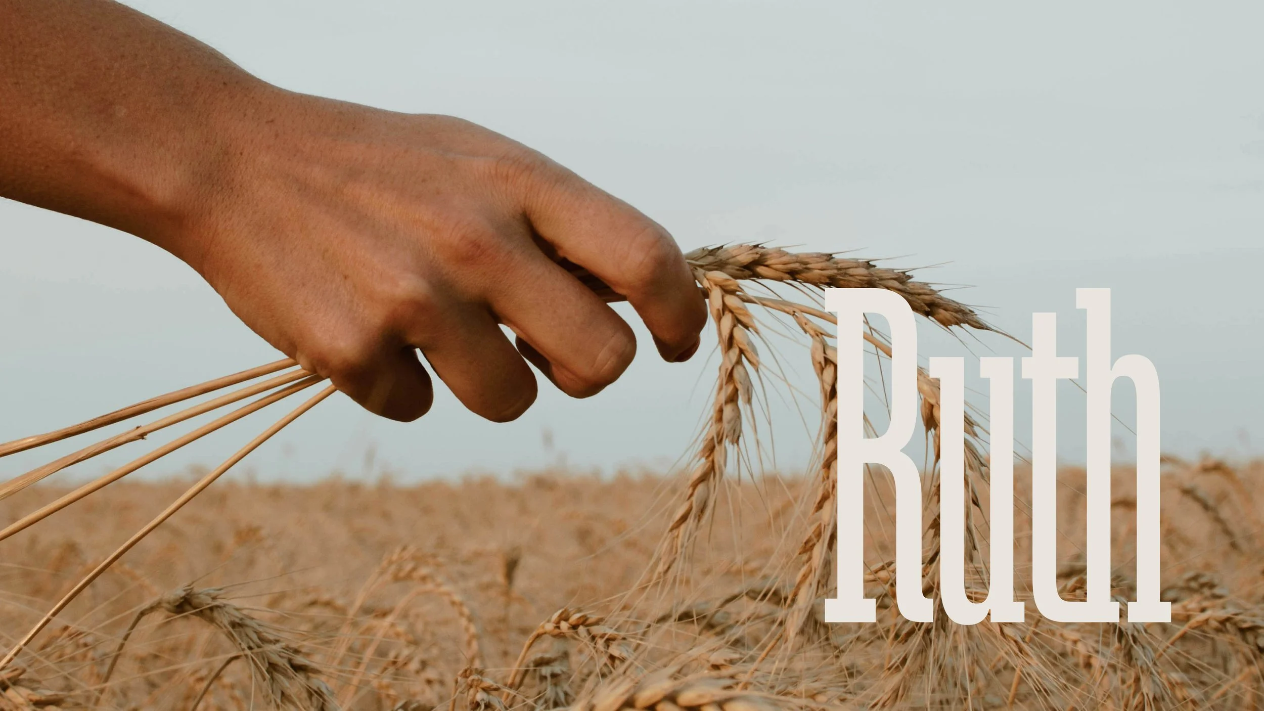 W26_Ruth_Screens-1.jpg