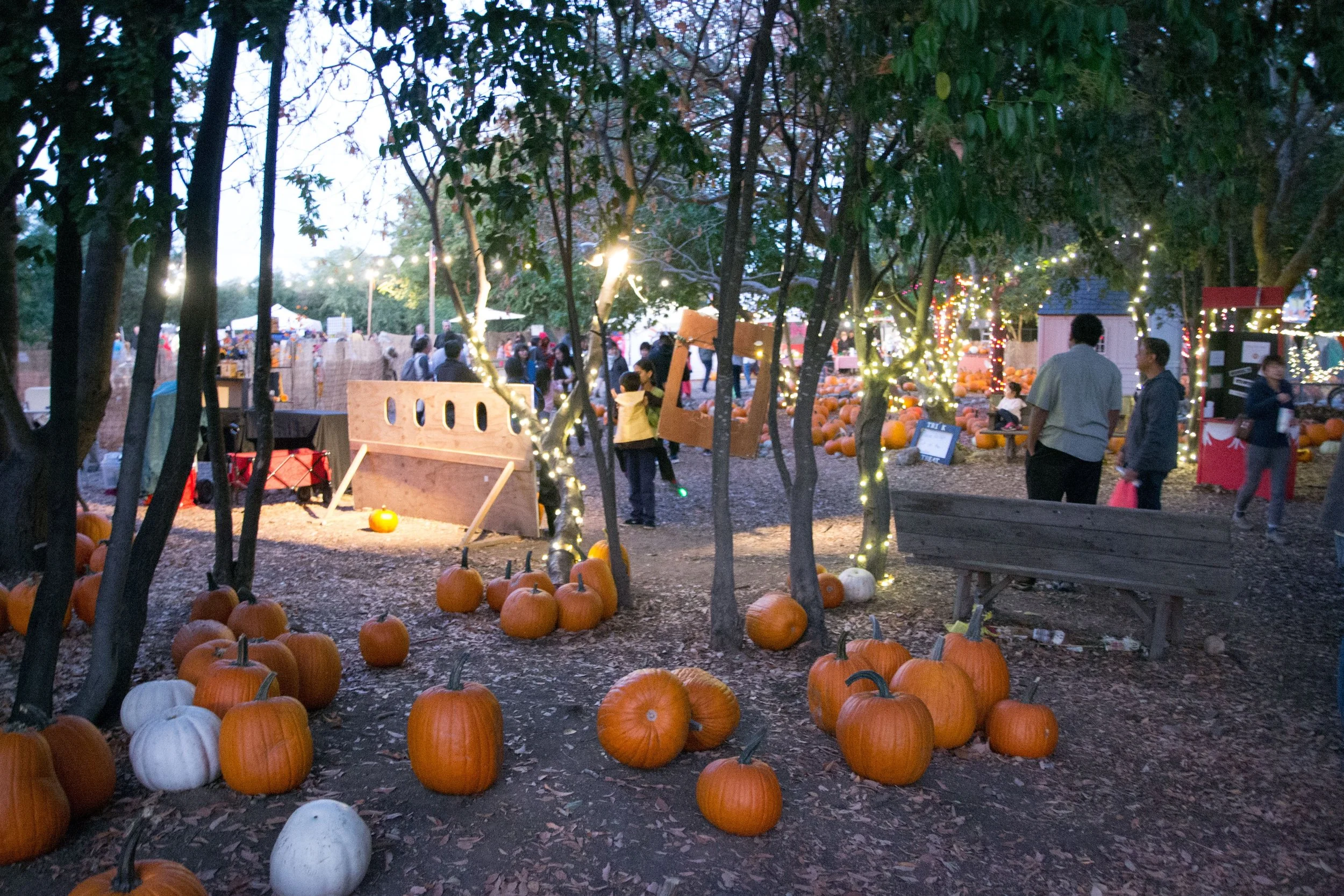 Moreland / MEF Pumpkin Patch