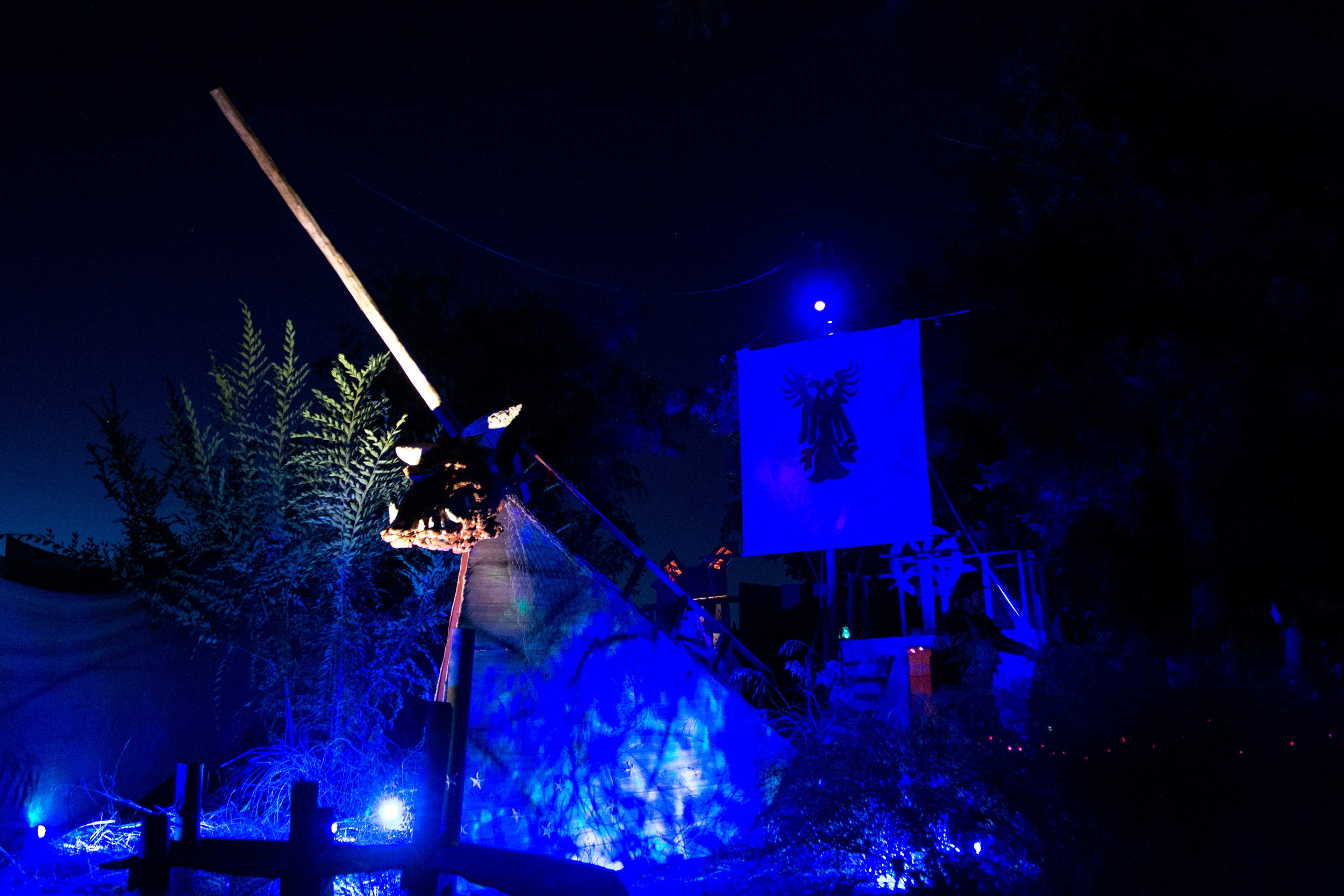 DSC_0391.jpg