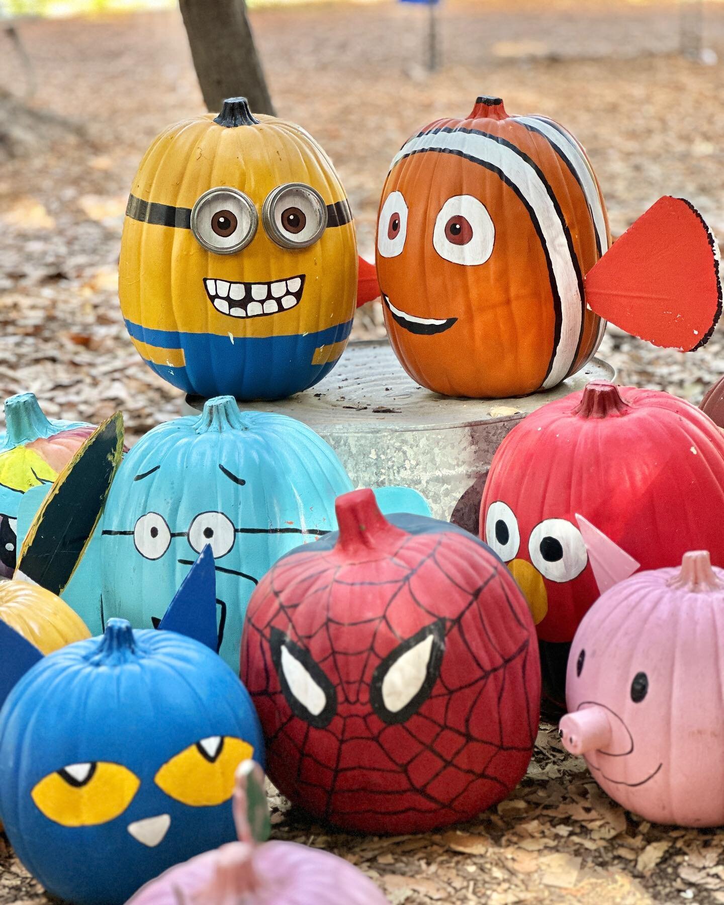 Meet the squad! 🎃 Ready to play hide and seek in the pumpkin patch this evening🤡 Can you spot them all? #PumpkinScavengerHunt #mefpumpkinpatch