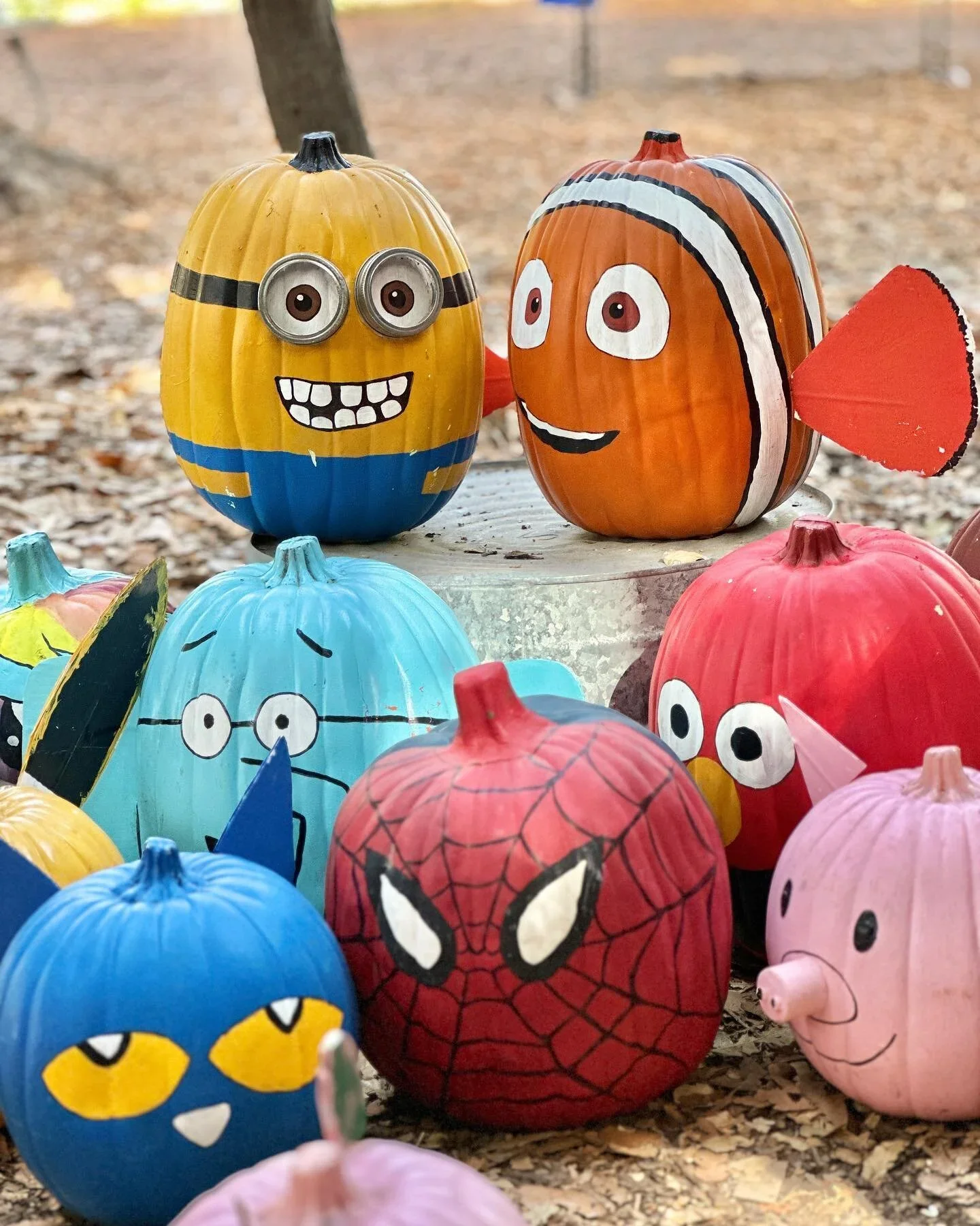 MEF Pumpkin Patch