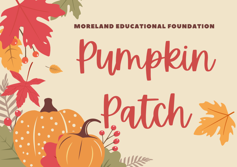 MEF Pumpkin Patch