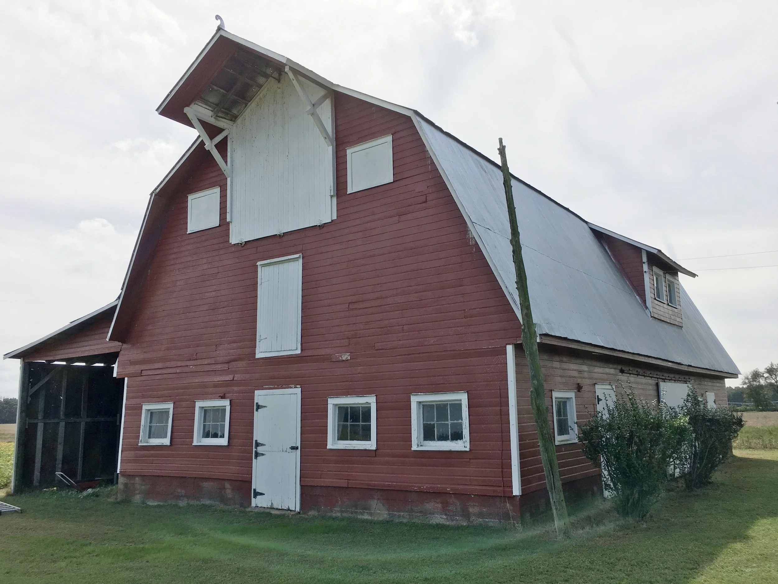 The Barn was built in the 1920s and used as a traditional homestead barn for cows and hay/straw storage for many years. More recently, as the ownership of the farm changed hands, it was used simply for storage. As we turn it into J Starr's Flower Barn, the old building will slowly get a facelift and be filled with life again!